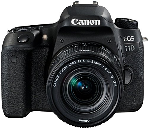 Canon SLR EOS 77D Fotocamera Digitale, Obiettivo EF-S 18-55 mm f/4-5.6 IS STM, Nero
