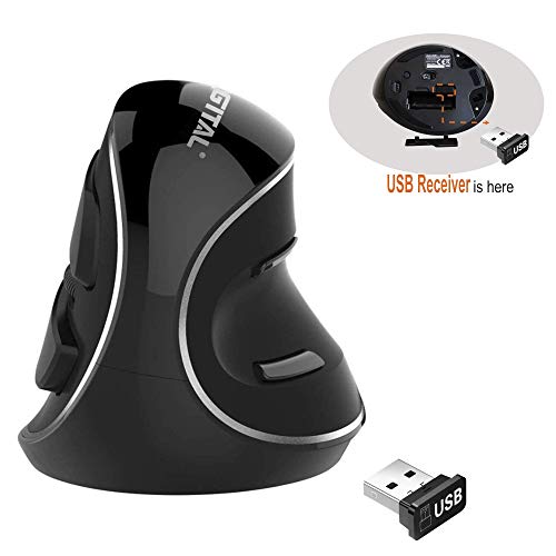 JTD Mouse wireless, mouse verticale ergonomico mouse ottico 600/1000/1600 dpi con staccabile per il palmo per ufficio (non per gaming) - ridurre mano/polso dolore