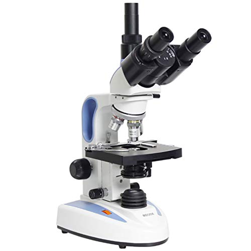 MXARM Microscopio per eduscienza da Laboratorio per composti binoculari, 40X-1000X, Stadio Meccanico, condensatore di Abbe,200w