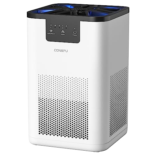 Purificatore Aria Portatile con Aromaterapia