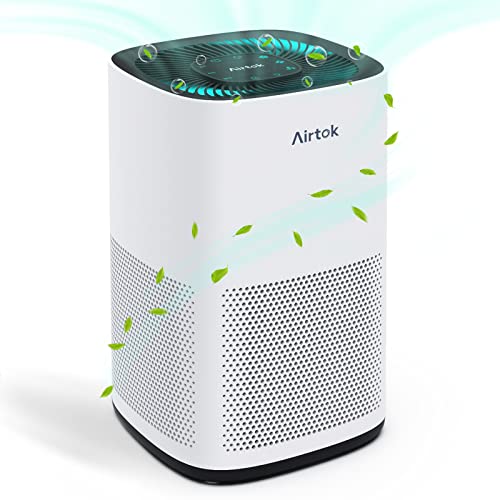 Purificatore d'Aria AIRTOK AP1001 HEPA