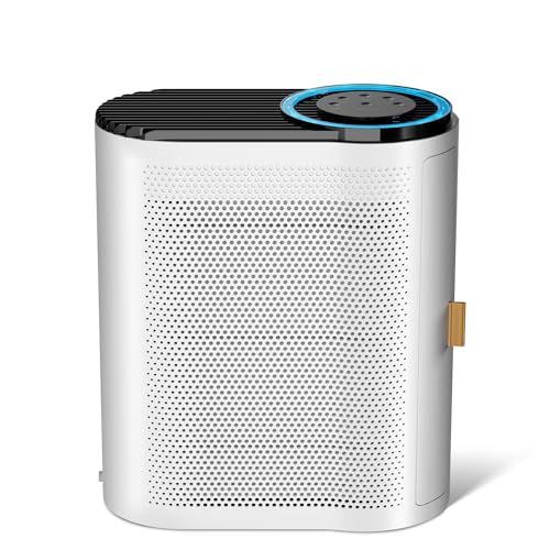 Purificatore d'aria CONOPU CADR 230m³/h